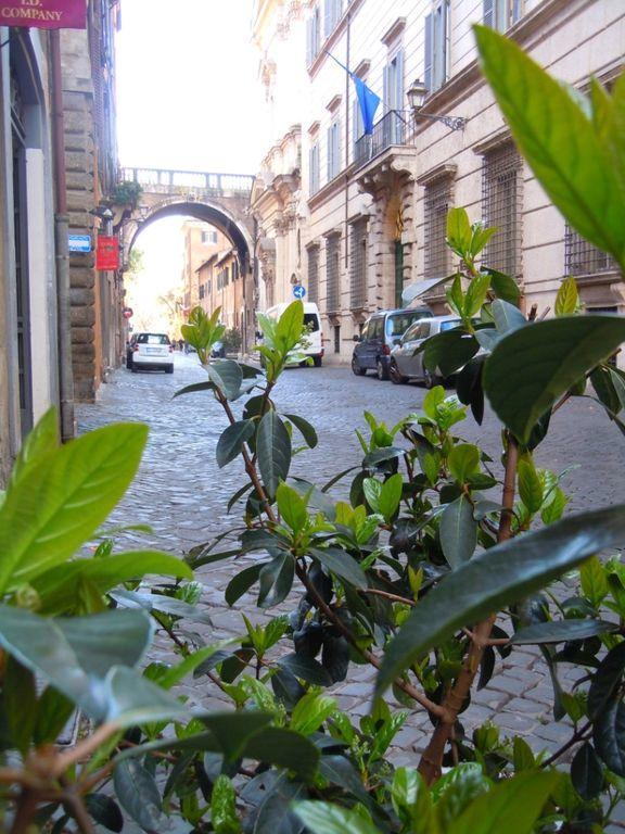 Via Giulia Apartment Roma Esterno foto